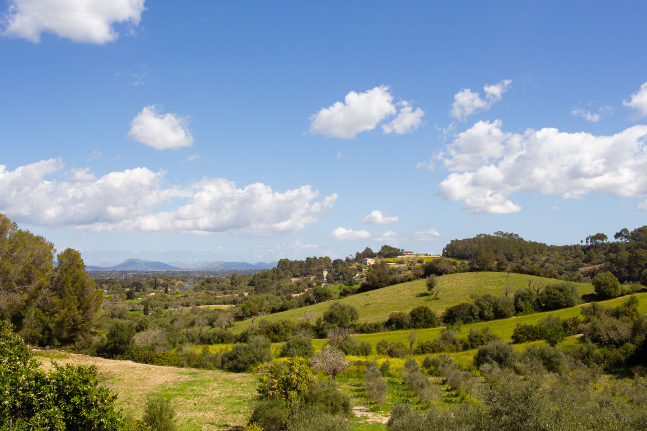 Paisatge des de Costitx
