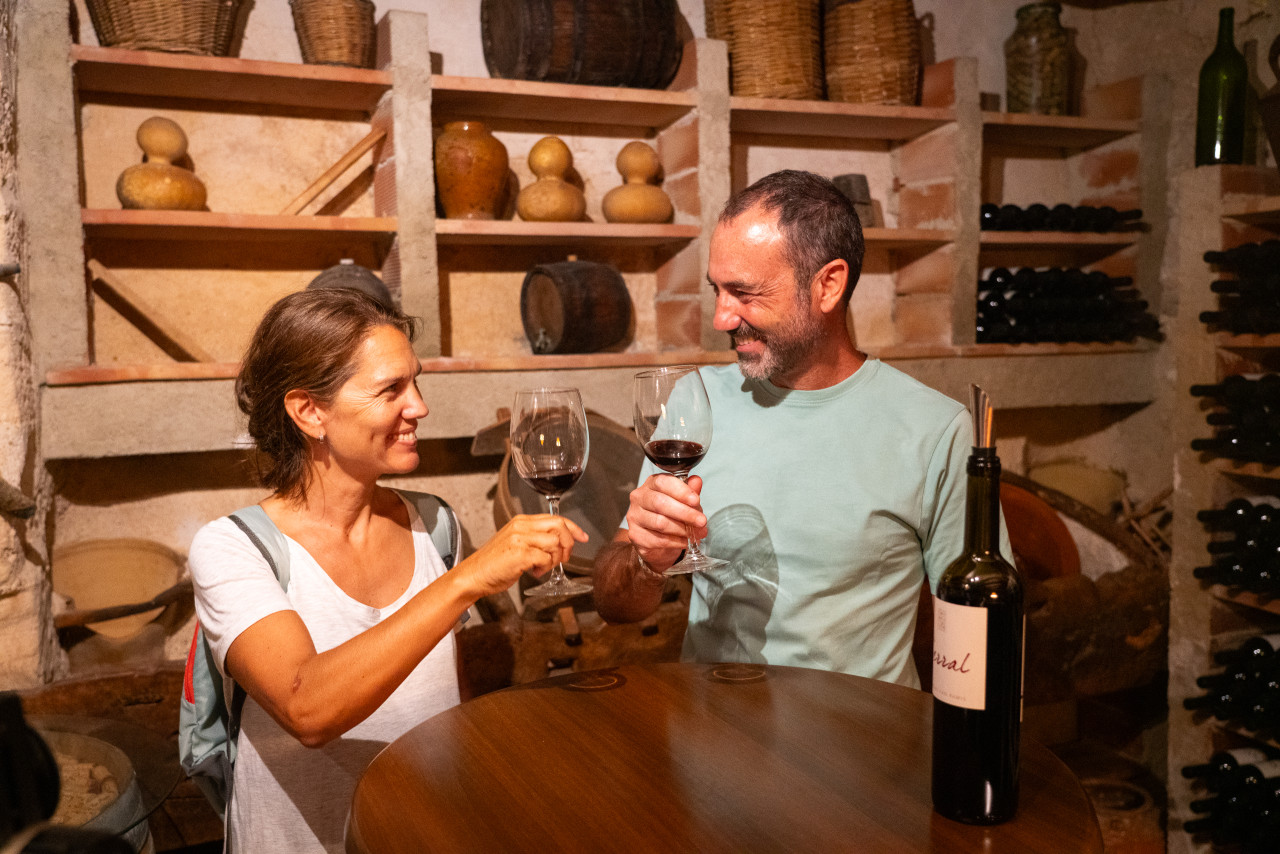 Enoturisme al Pla de Mallorca