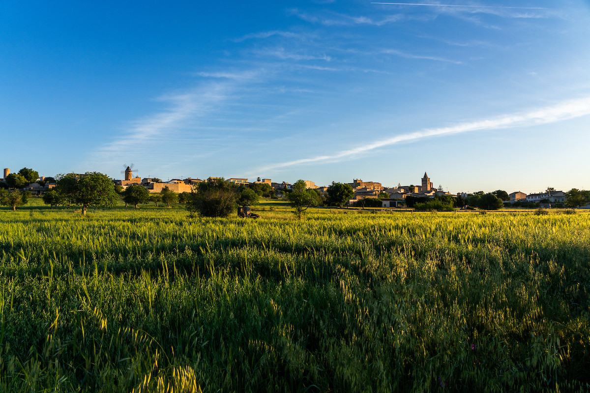 La Mancomunitat del Pla de Mallorca adquireix la parcel·la de Sineu on es construirà el futur dipòsit regulador d'aigua dessalada de la comarca