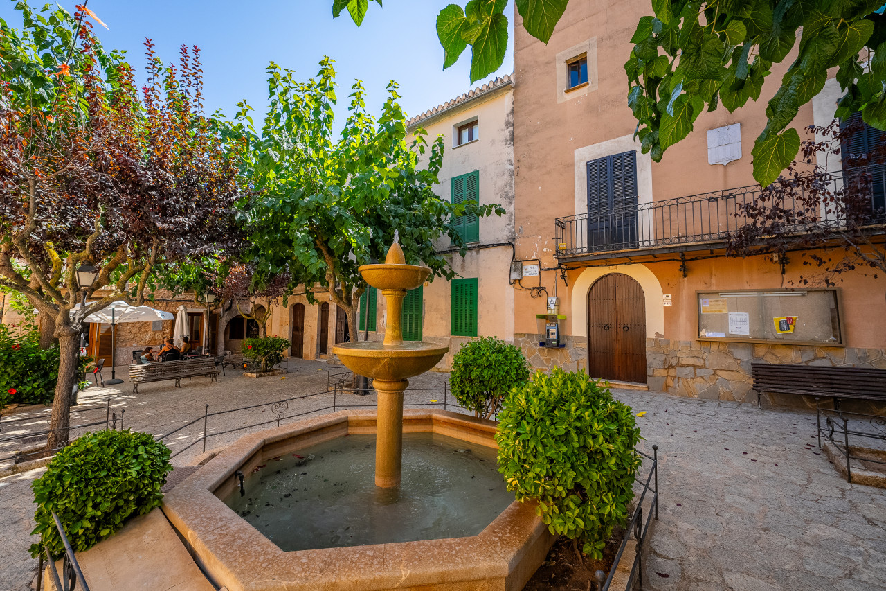 Pla d'arbrat del Pla de Mallorca