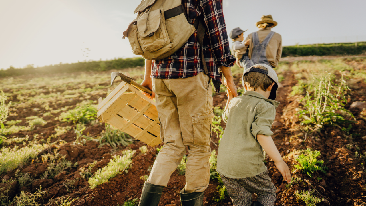 Experiències agroturístiques