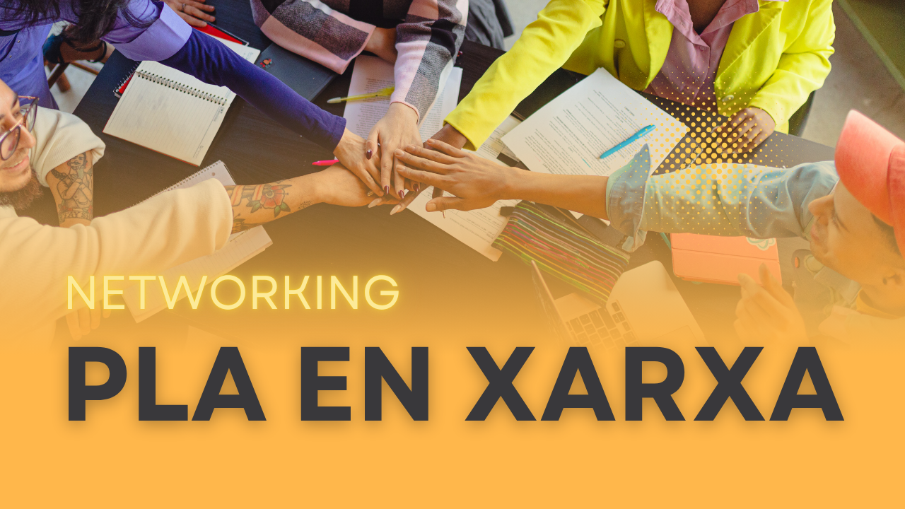 Pla en xarxa