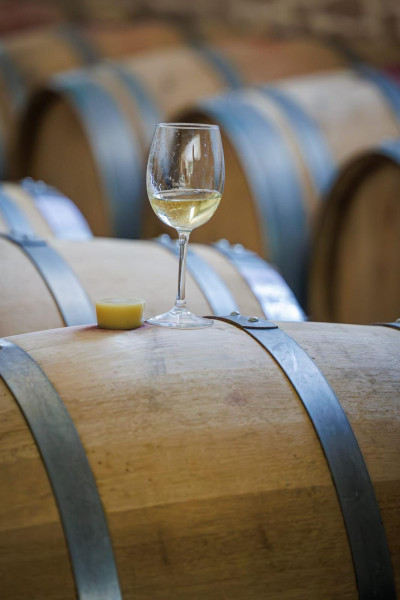 Vino de la Isla_ curs empreses IA 