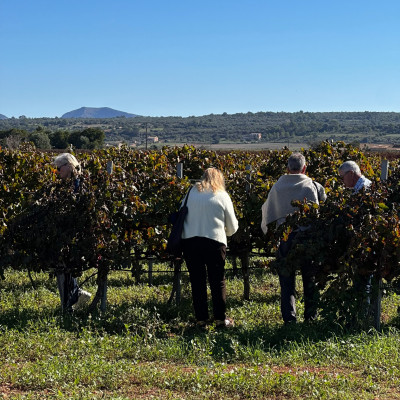visita penedes