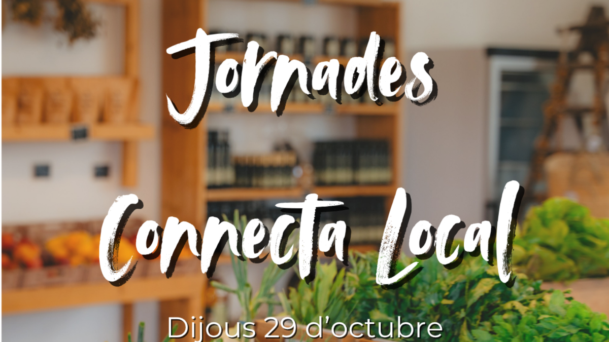 Jornades Connecta Local
