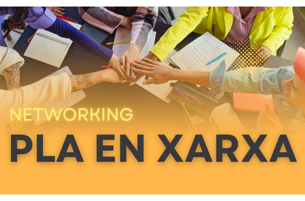 Pla en xarxa