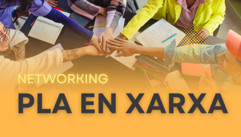 Pla en xarxa